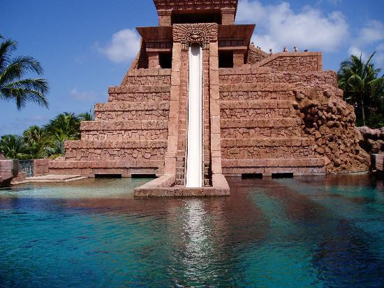 Marine Habitat at Atlantis景点图片