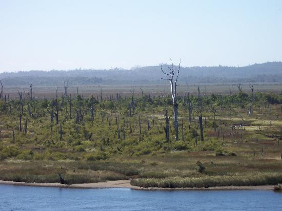 Parque Nacional Chiloé-奇洛埃岛必去景点