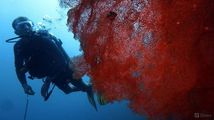 Diventure Philippines-哥多华必去景点