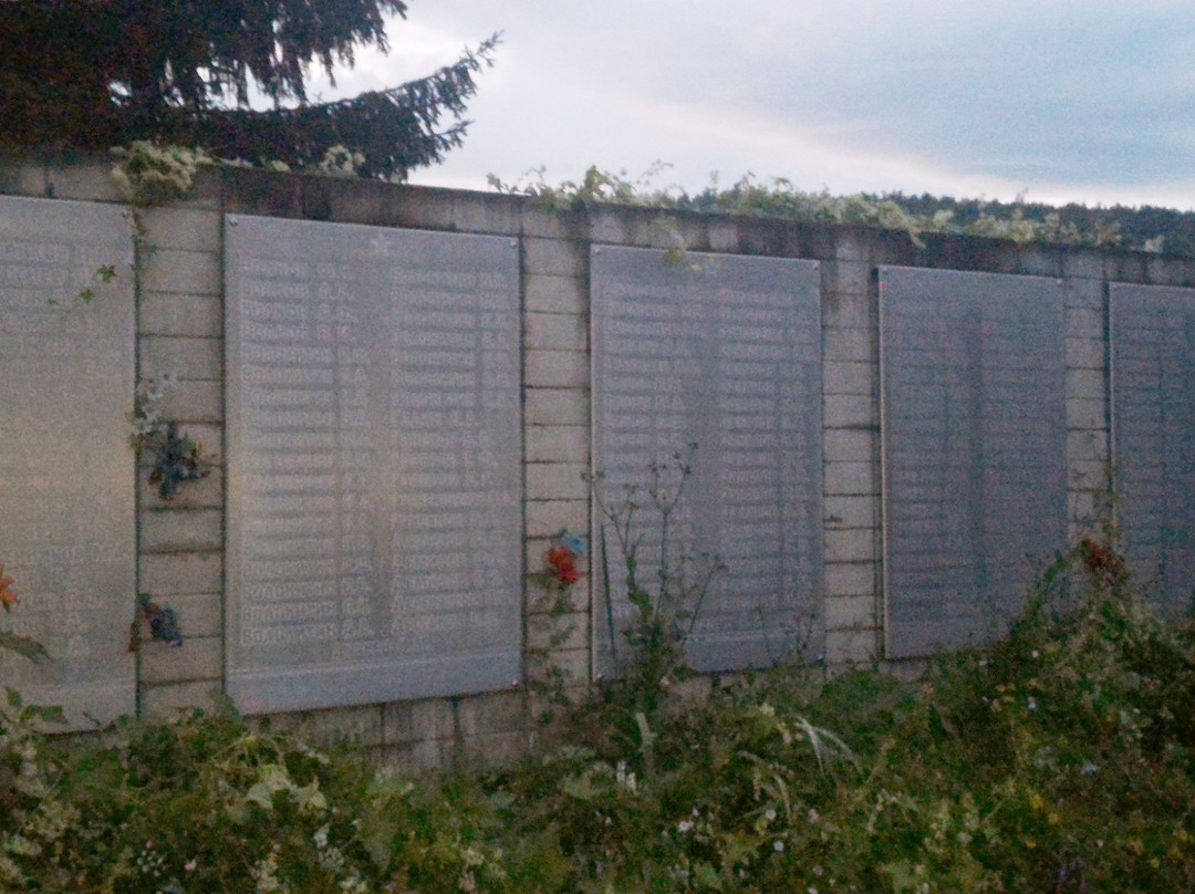 Memorial of the Memory of the Turgoyaks景点图片