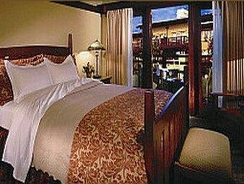 金威大酒店主图