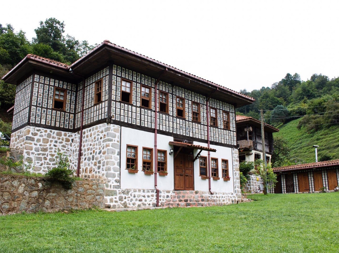 Babalik Dogal Yasam Konagi