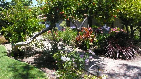 圣路易斯-奥比斯保教堂-圣路易斯-奥比斯波必去景点