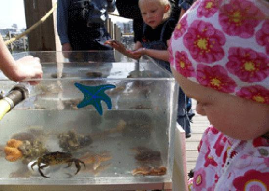 维京海事博物馆-雷克雅未克必去景点