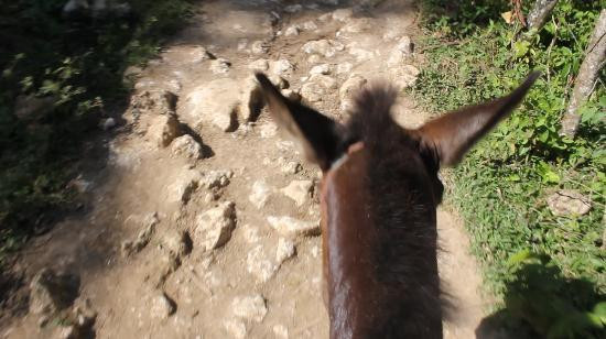 El Salto del Limón景点图片