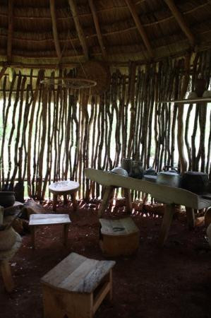 Museo del Pueblo Maya de Dzibilchaltún-梅里达必去景点