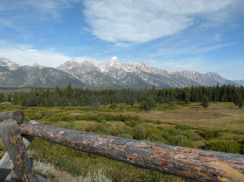 Wildlife Expeditions of Teton Science Schools-杰克逊必去景点