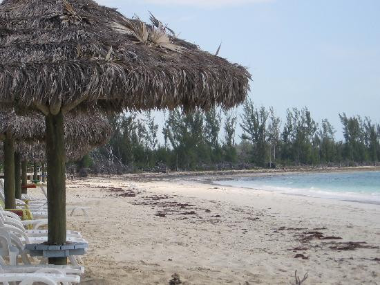Taino Beach-弗里波特必去景点