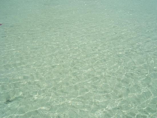 Baía de Sapodilla-普罗维登西亚莱斯必去景点