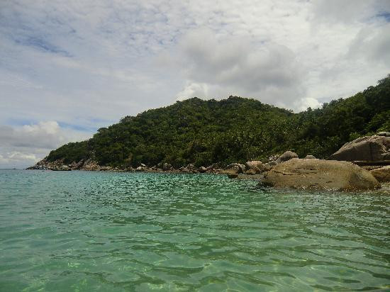 东方百分百潜水-苏梅岛必去景点