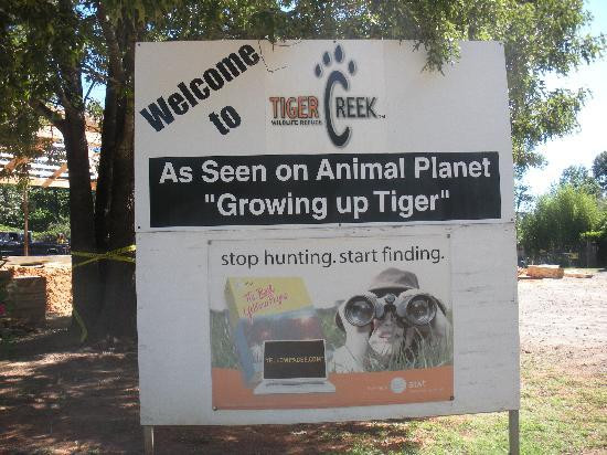 Tiger Creek Animal Sanctuary-泰勒必去景点
