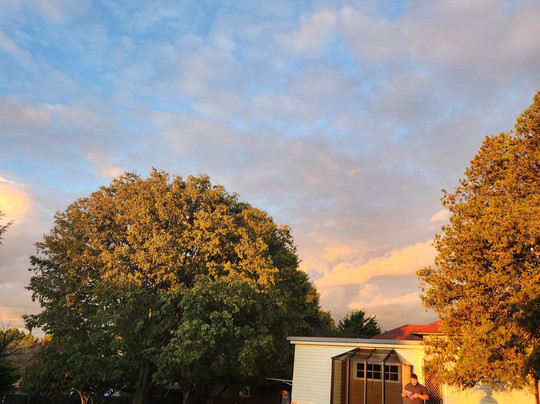 Deer Park Motor Inn Armidale主图