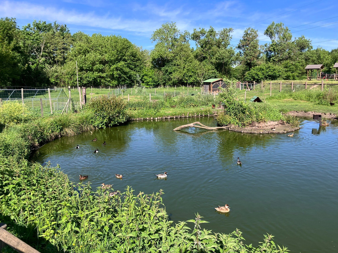 Ferme de la Barbanne景点图片