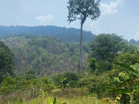 清迈T.U.M骑象之行-清迈必去景点