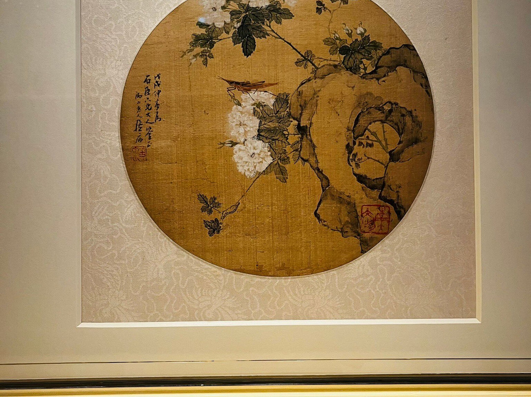 NUS Museum-新加坡必去景点