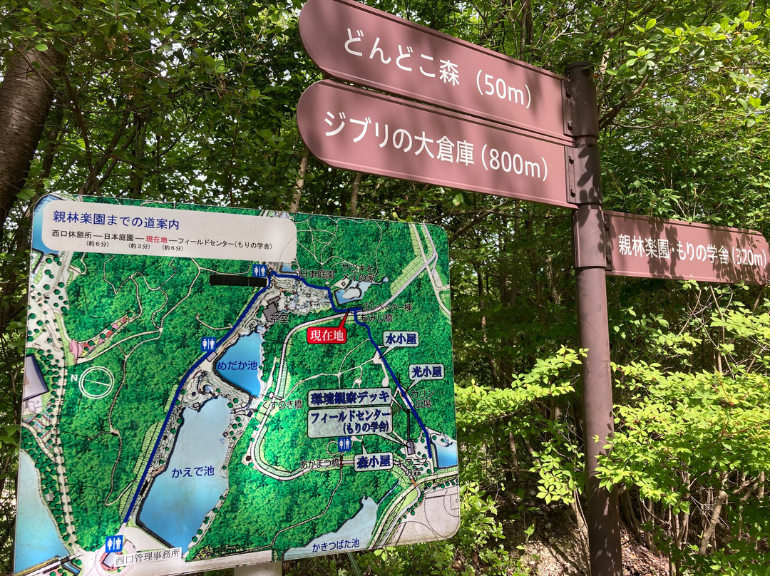 Expo 2005 Aichi Commemorative Park-长久手市必去景点