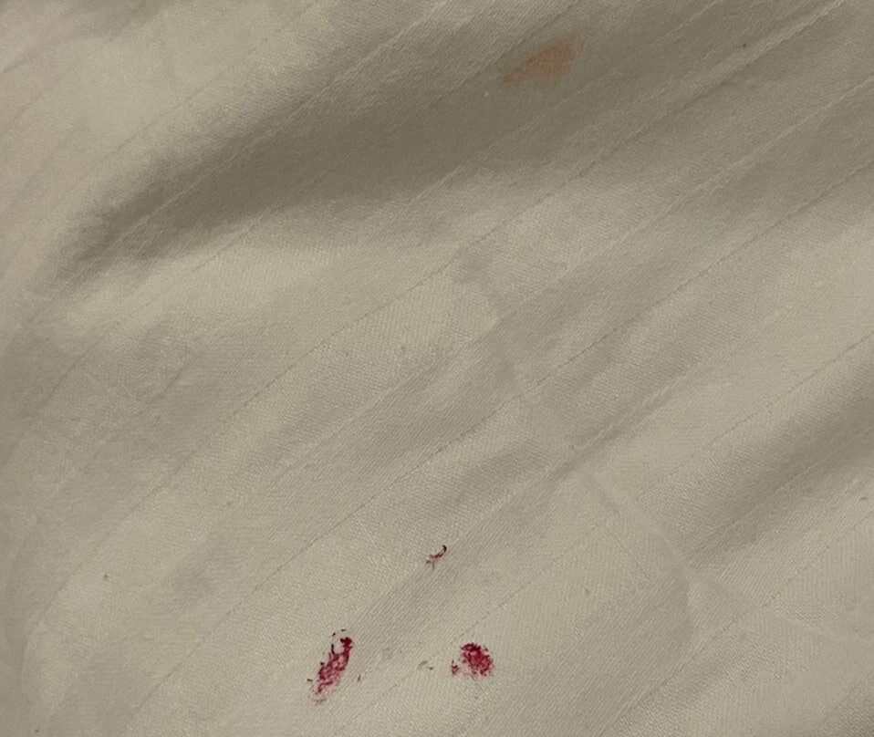 The Woods : An Orchard Retreat主图