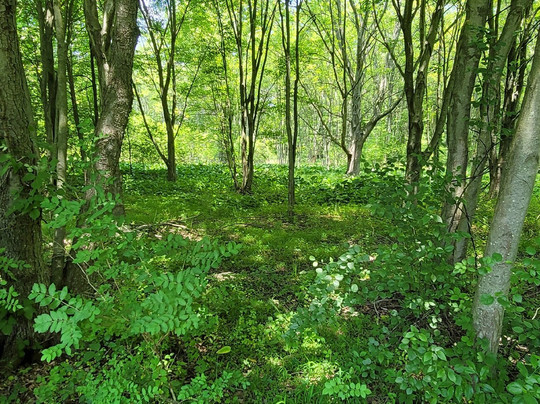 Warfields Pond Park-Glenwood必去景点