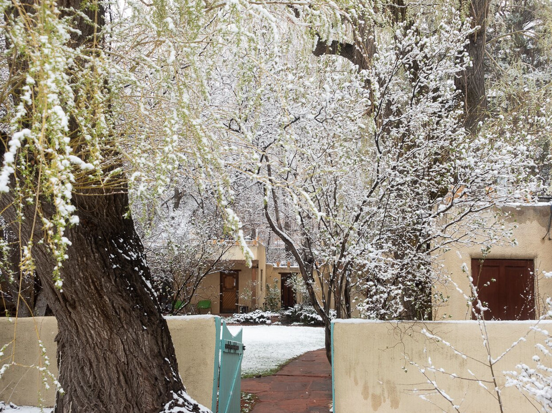 Hacienda del Sol主图