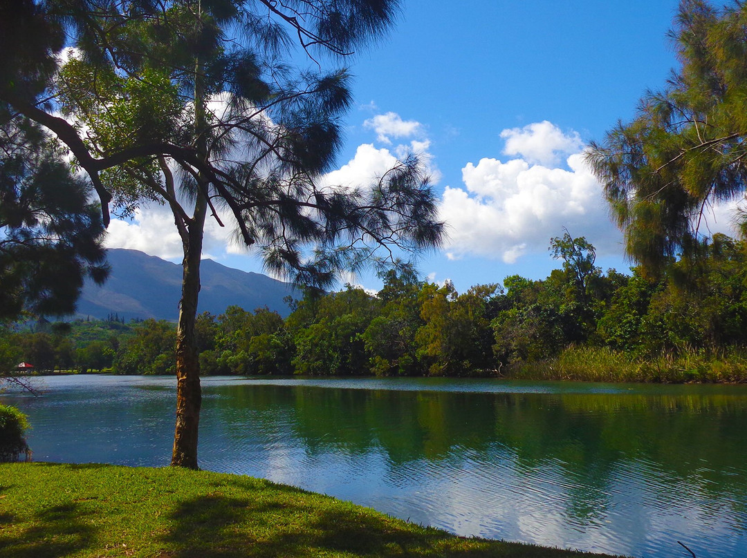 Fayard Park-Dumbea必去景点