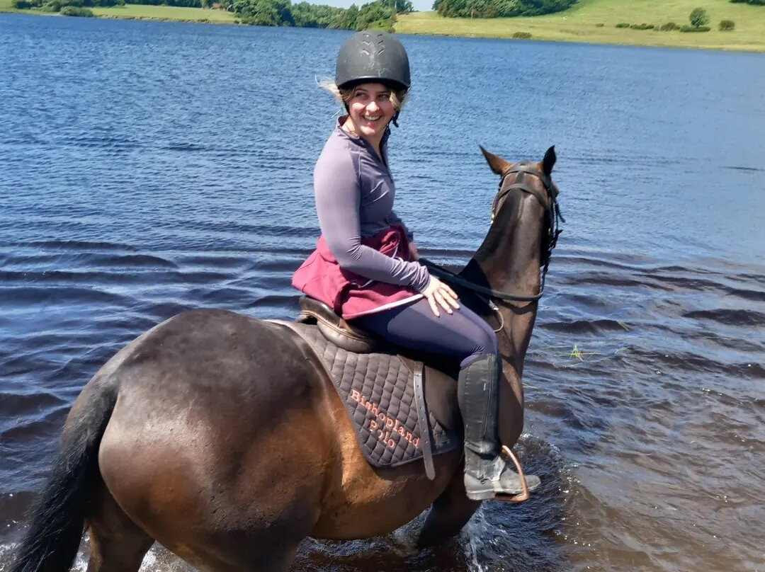 Hollywood Horse and Pony Trekking-Wicklow必去景点