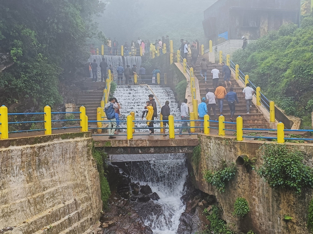 Binary Exotica Luxury Hotels and Resorts主图