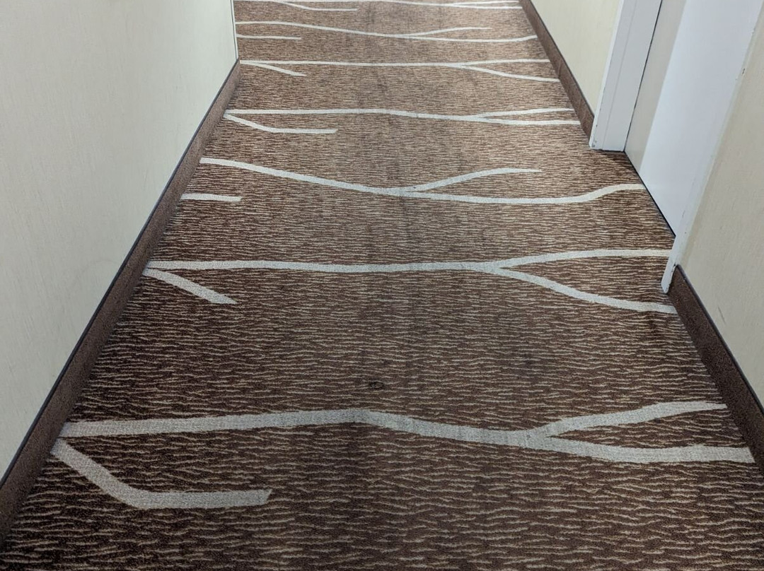 Hilton Garden Inn Cordova主图