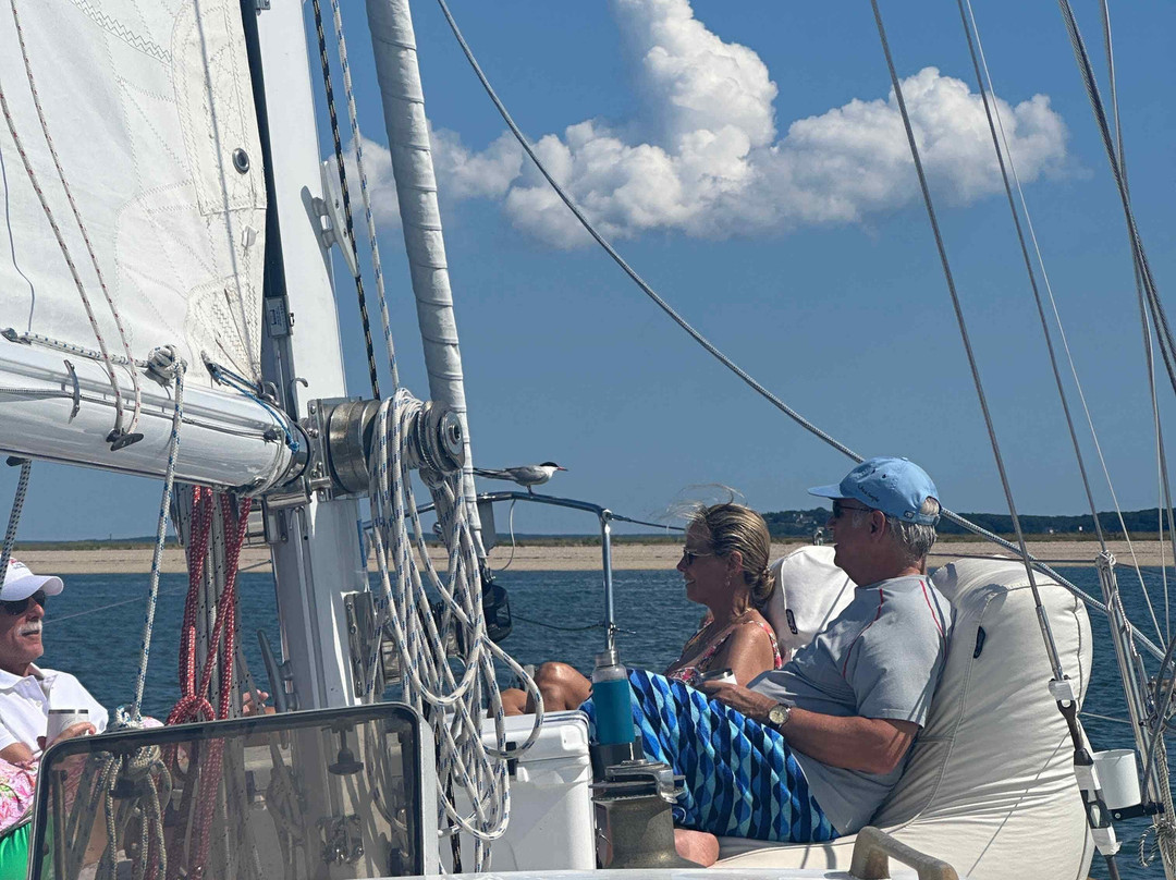 Layla Sailing-Greenport必去景点