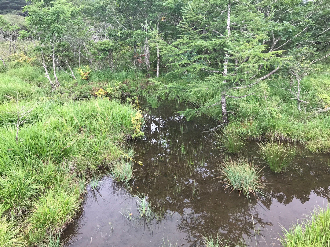 Numappara Marshland-那须盐原市必去景点