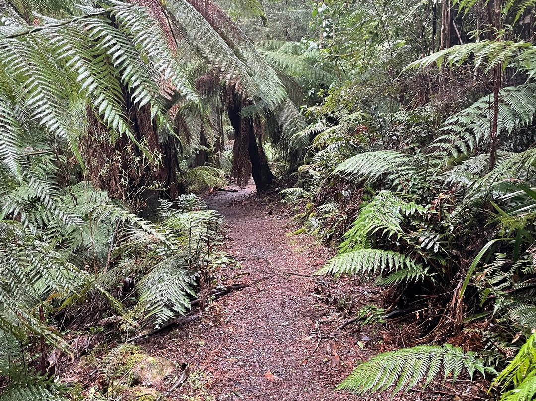 The Big Culvert-Marysville必去景点