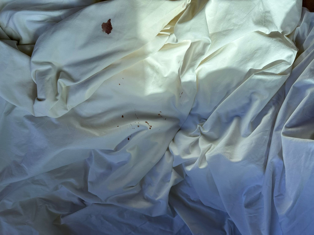 普塔旺度假村主图