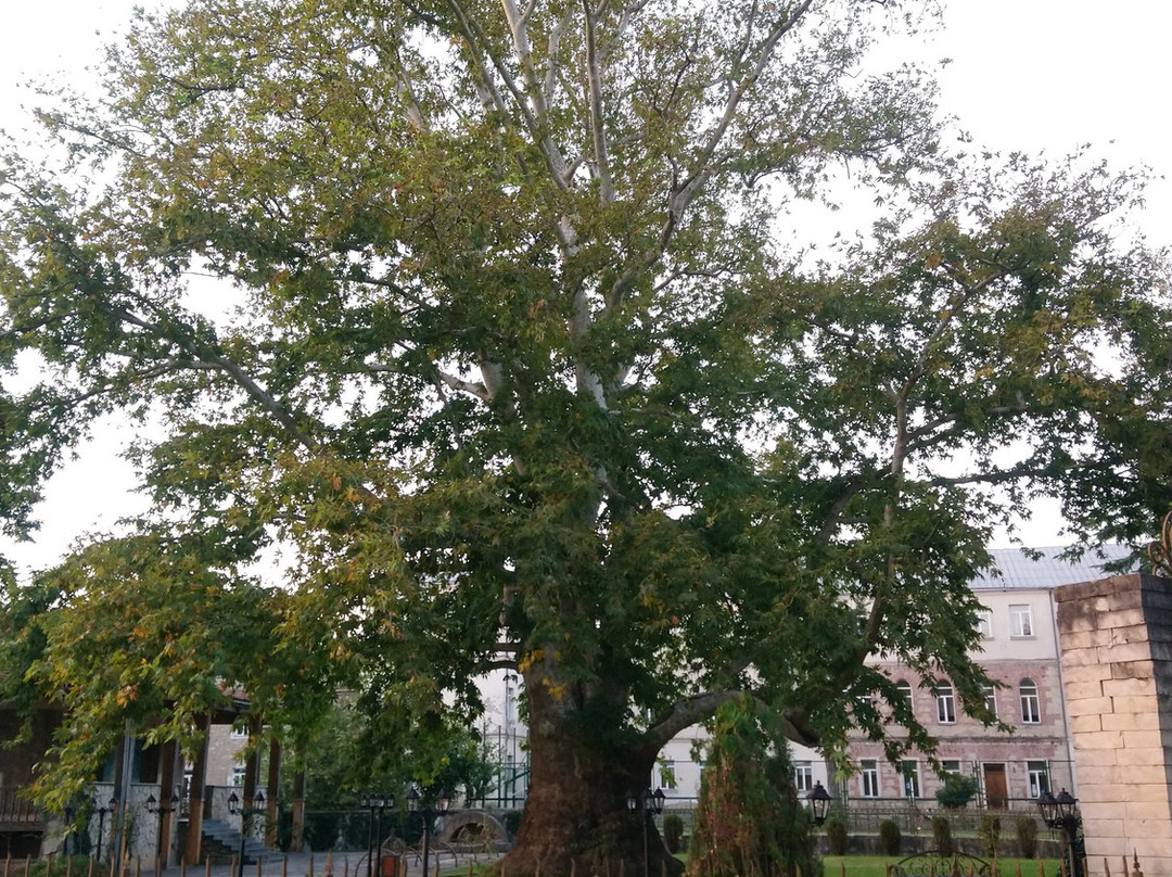 Palace of Imeretian Kings Okros Chardakhi-库塔伊西必去景点