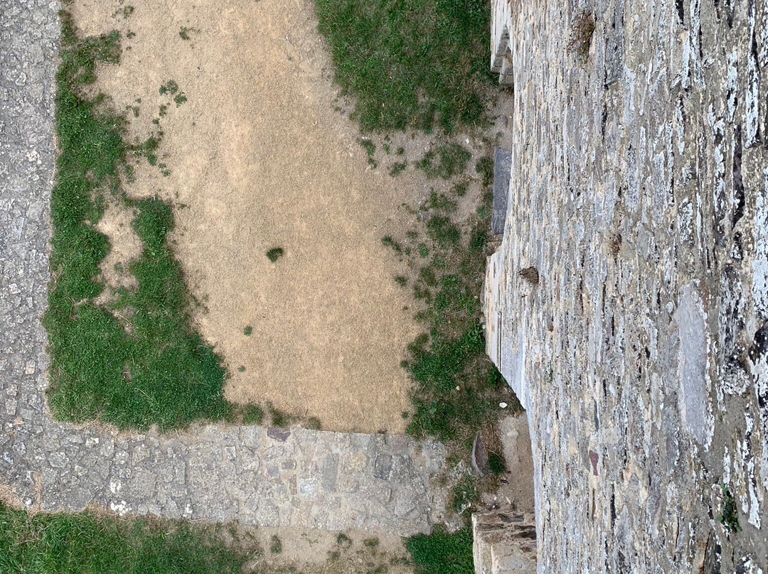 Chateau de Sainte-Suzanne景点图片