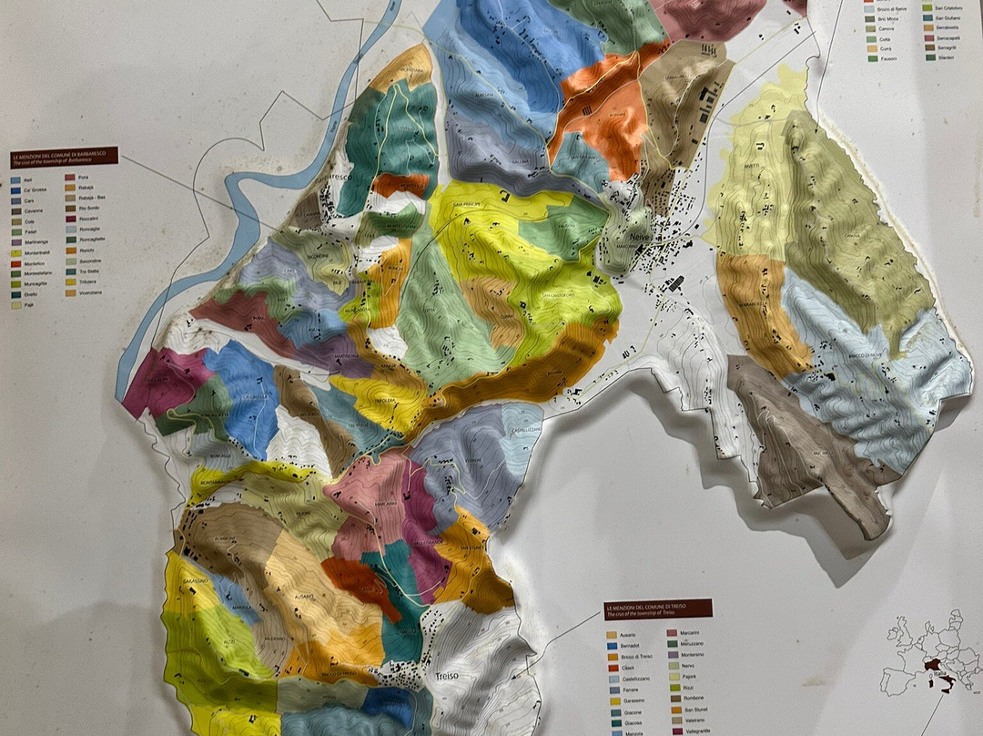 Langa Wine Tour-阿尔巴必去景点