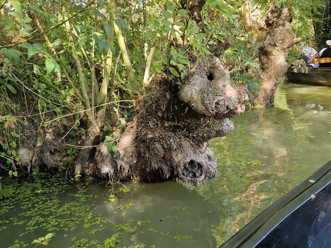 Destination Vendee Marais poitevin景点图片
