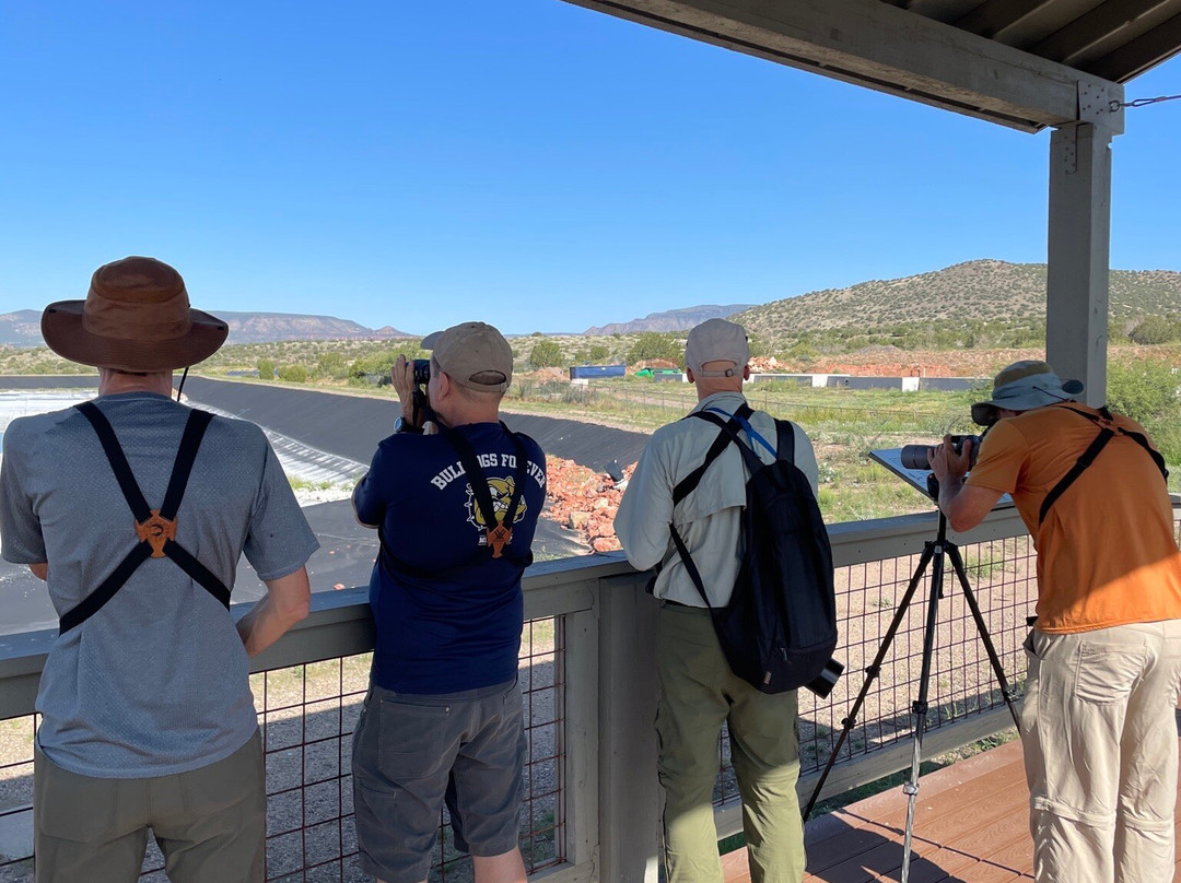Birding Northern Arizona景点图片