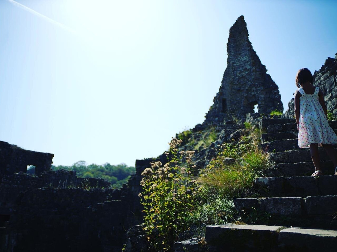 Les ruines du Chateau Fort de Montaigle景点图片