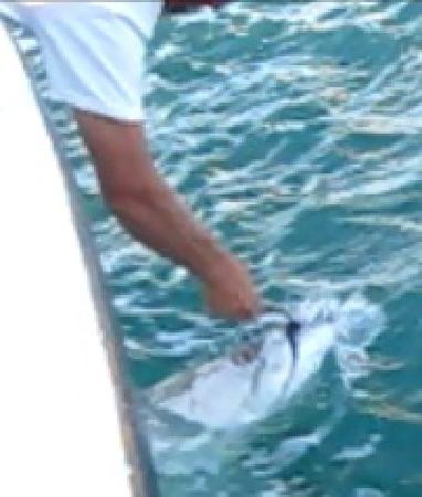 Wayne Gatling Guide Service-Rock Hall必去景点