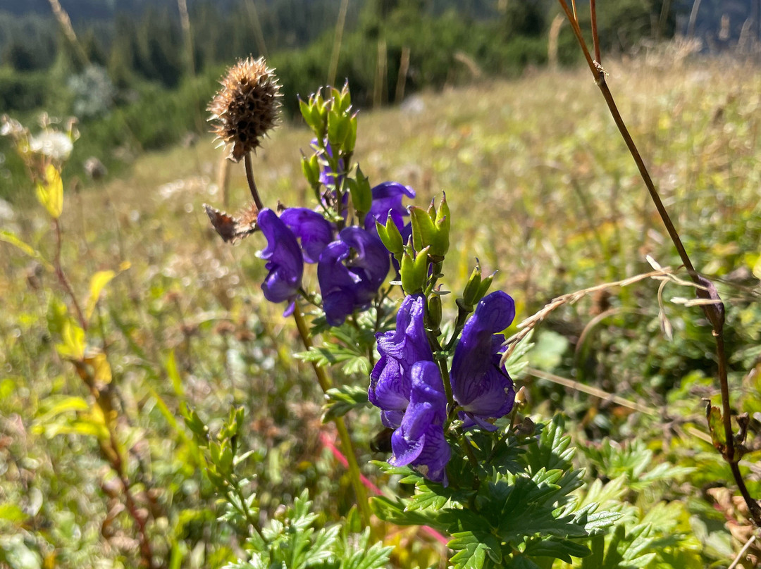 Nationalpark Berchtesgaden-贝希特斯加登必去景点