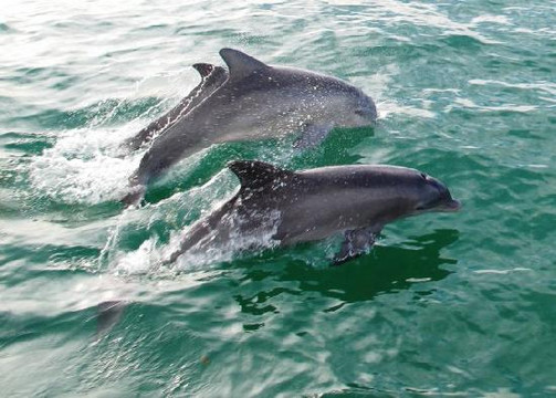 Aquaworld Miami-迈阿密必去景点