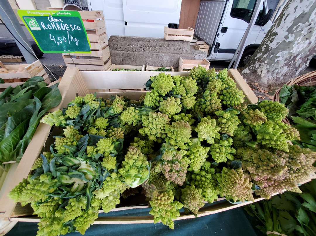 Grand Marché-La Reole必去景点