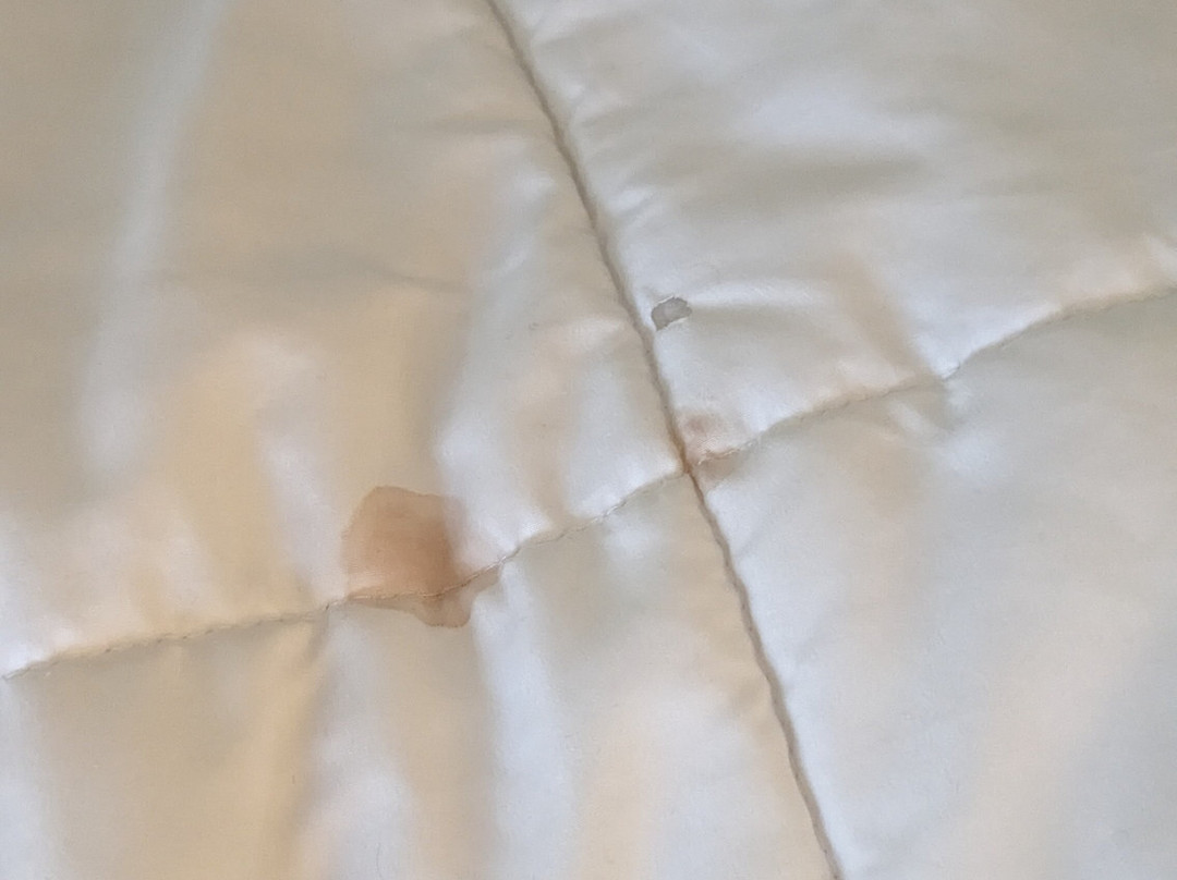 La Quinta Inn by Wyndham Detroit Canton主图