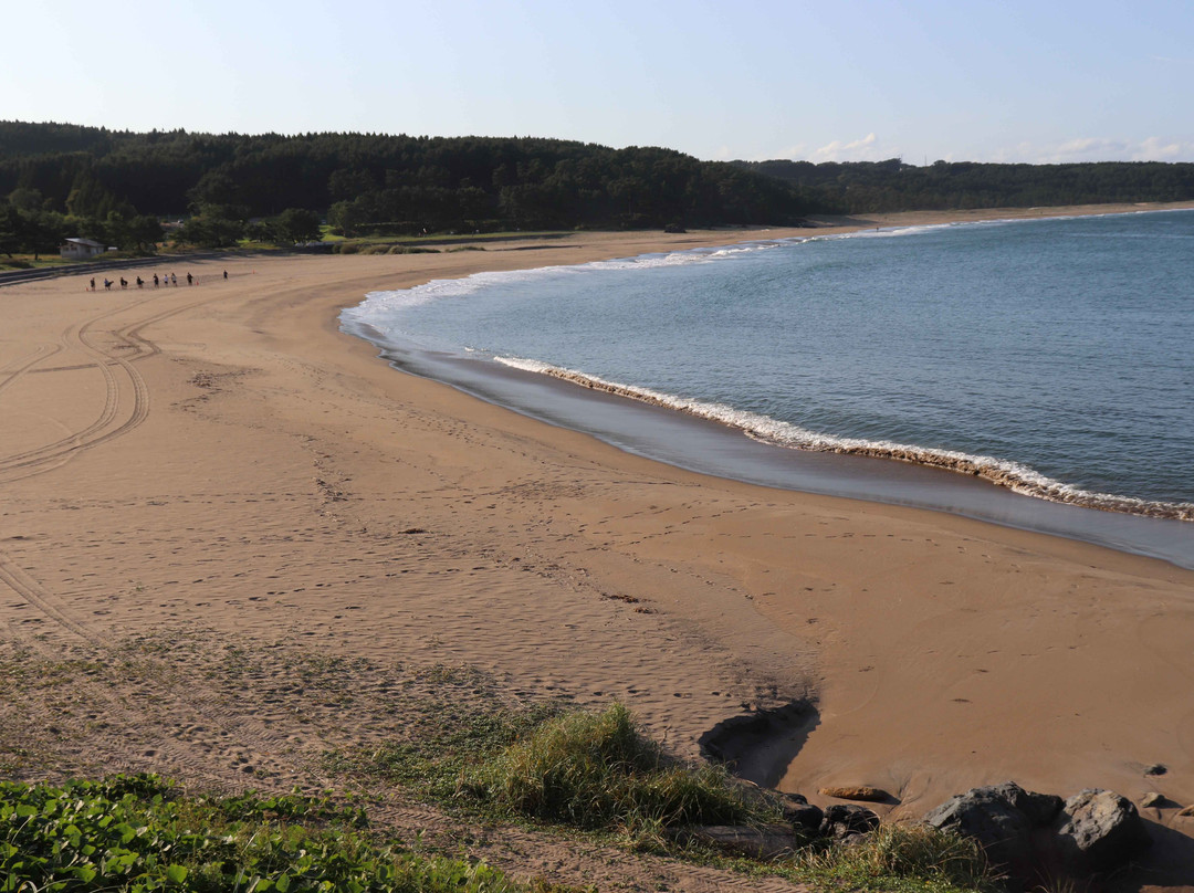 Shirahama Beach-八户市必去景点