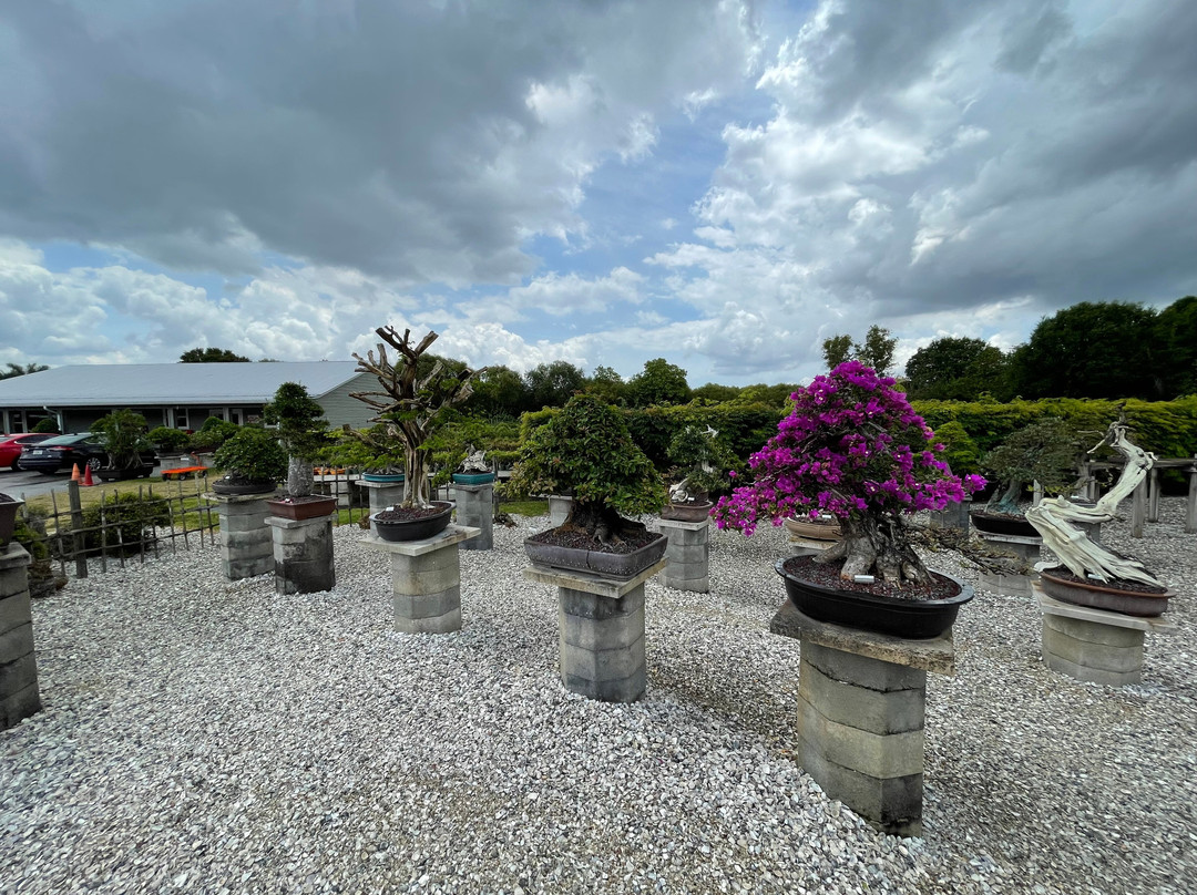 Wigert's Bonsai-North Fort Myers必去景点
