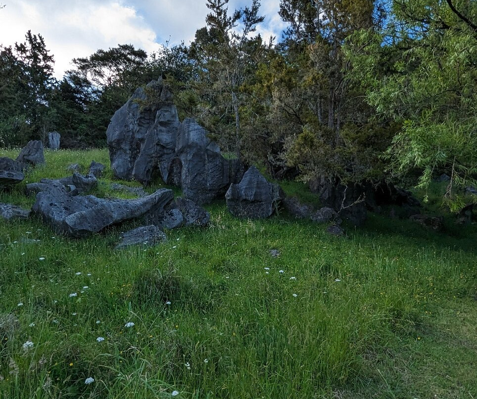 Abbey Caves景点图片