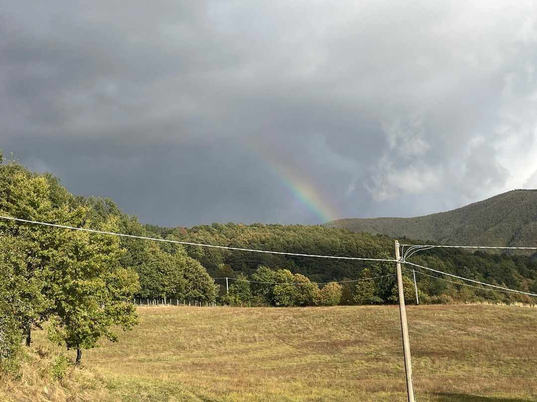 Fattoria Bonaria Montaglioni