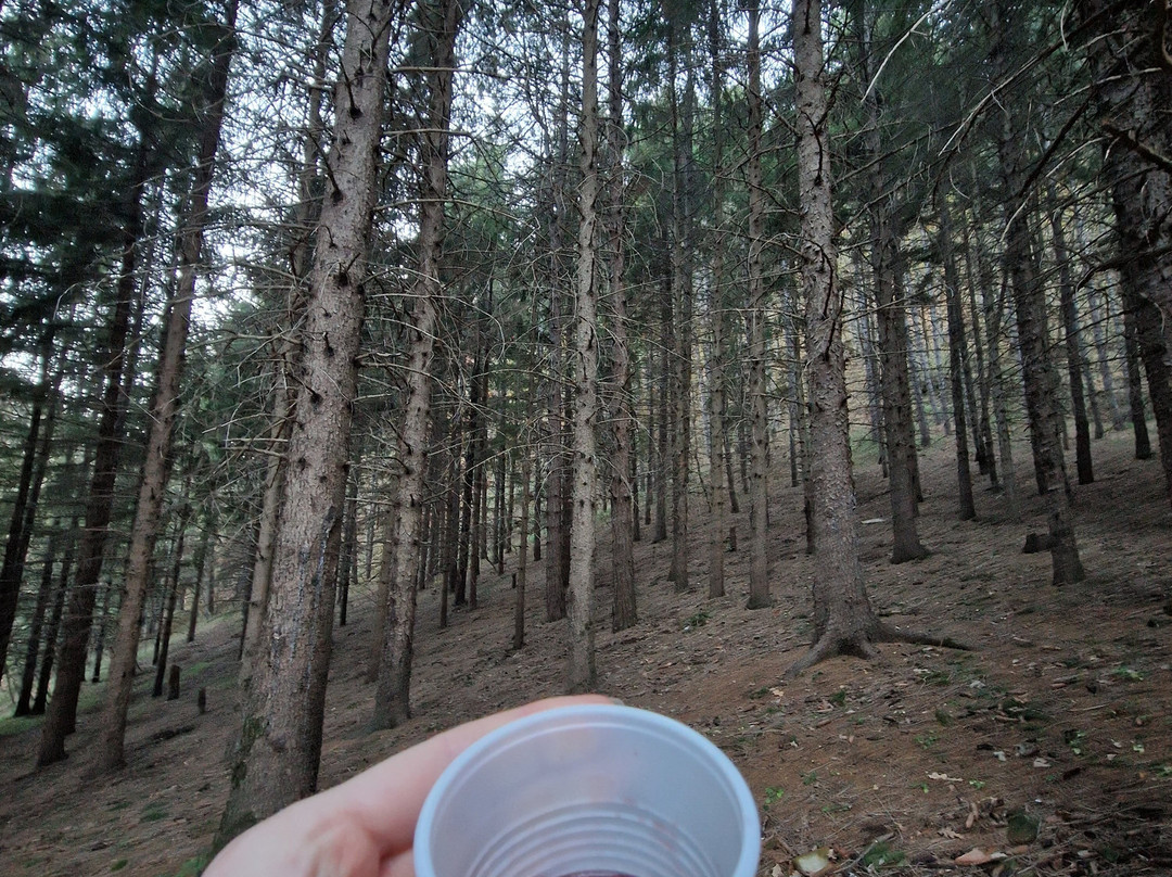 Vivere Wild Escursioni e Avventure-里米尼必去景点