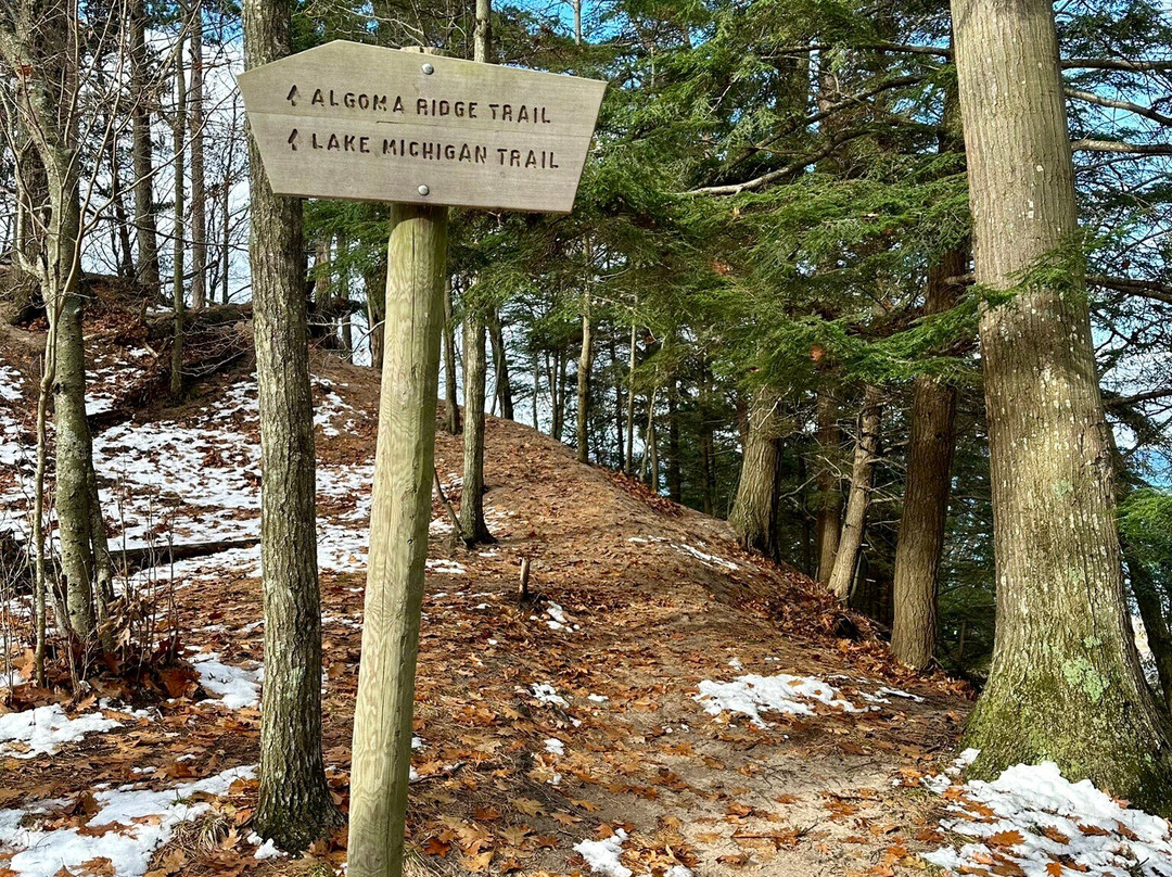 Nordhouse Dunes Wilderness-拉丁顿必去景点