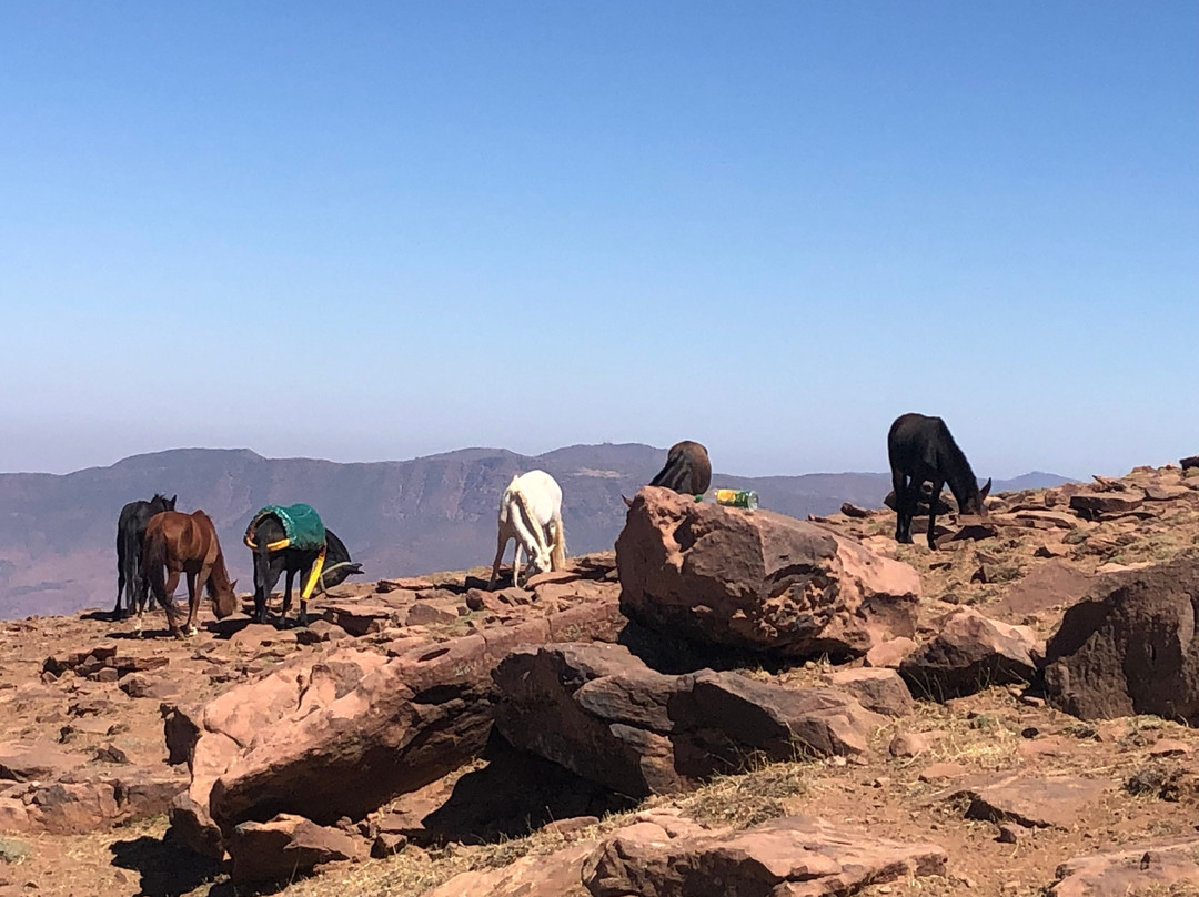 Parfum Berbere Trek-Azilal必去景点