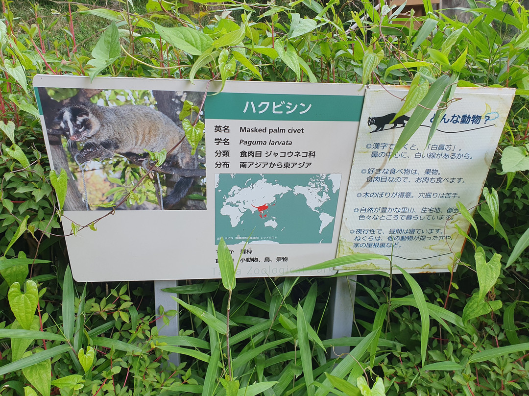 Tama Zoological Park-日野市必去景点